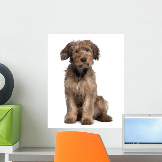 Briard Dog Sitting Wall Decal