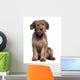 Briard Dog Sitting Wall Decal
