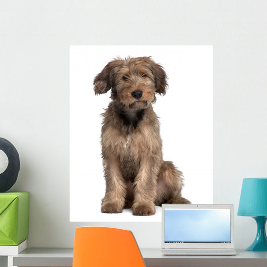 Briard Dog Sitting Wall Decal
