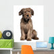 Briard Dog Sitting Wall Decal