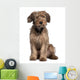 Briard Dog Sitting Wall Decal