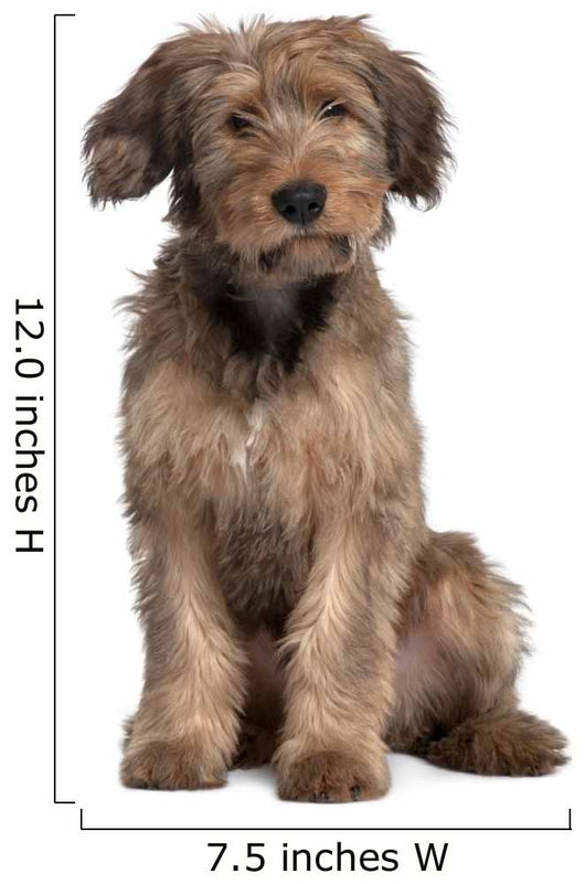 Briard Dog Sitting Wall Decal