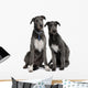 Two Irish Wolfhounds Wall Decal