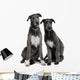 Two Irish Wolfhounds Wall Decal