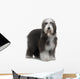 Bearded Collie Wall Decal