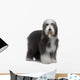 Bearded Collie Wall Decal