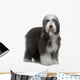 Bearded Collie Wall Decal