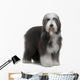 Bearded Collie Wall Decal