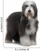 Bearded Collie Wall Decal