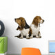 Two Sulking Basset Hounds Wall Decal
