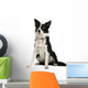 Border Collie Wall Decal