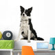 Border Collie Wall Decal