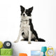 Border Collie Wall Decal