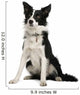 Border Collie Wall Decal