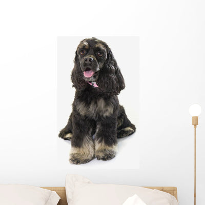 Black Cocker Spaniel with Wall Decal shown on a wall