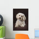 Shih Tzu-Poodle On A Brown Muslin Backdrop Wall Mural