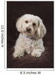 Shih Tzu-Poodle On A Brown Muslin Backdrop Wall Mural