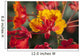 Close Up Of Mexican Bird Of Paradise Flowers Wall Mural
