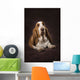 Basset Hound On A Brown Muslin Backdrop Wall Mural