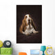 Basset Hound On A Brown Muslin Backdrop Wall Mural