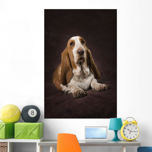 Basset Hound On A Brown Muslin Backdrop Wall Mural