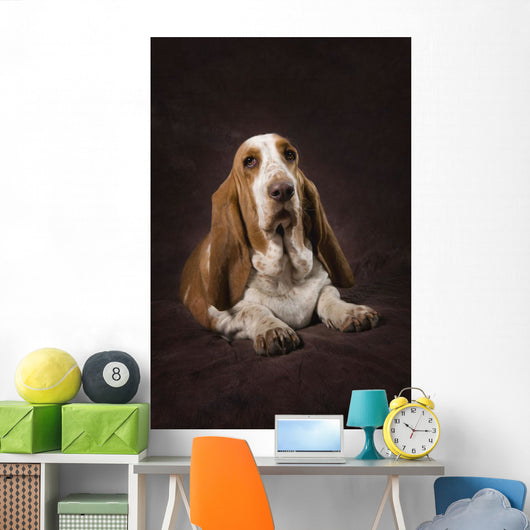 Basset Hound On A Brown Muslin Backdrop Wall Mural