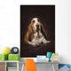 Basset Hound On A Brown Muslin Backdrop Wall Mural