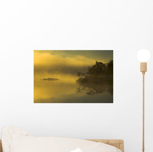 Autumn Sunrise Through Heavy Lake Mist, Bedford, Nova Scotia Wall Mural