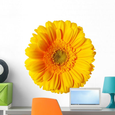 Yellow Gerbera Daisy Wall Decal shown on a wall