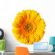 Yellow Gerbera Daisy Wall Decal