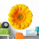 Yellow Gerbera Daisy Wall Decal