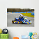 Karting Wall Mural