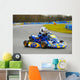 Karting Wall Mural