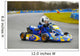 Karting Wall Mural