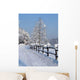 Winter Mountains-beskid-Poland Wall Decal