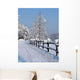 Winter Mountains-beskid-Poland Wall Decal