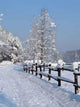 Winter Mountains-beskid-Poland Wall Decal