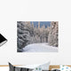 Winter Mountains Beskid Poland Wall Decal