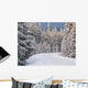 Winter Mountains Beskid Poland Wall Decal