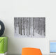 Frost And Snow-Covered Bare Trees In Forest In Winter Wall Mural