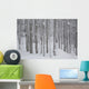 Frost And Snow-Covered Bare Trees In Forest In Winter Wall Mural