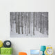 Frost And Snow-Covered Bare Trees In Forest In Winter Wall Mural
