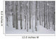 Frost And Snow-Covered Bare Trees In Forest In Winter Wall Mural