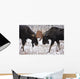 Moose Fighting, Gaspesie National Park, Quebec Wall Mural