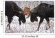 Moose Fighting, Gaspesie National Park, Quebec Wall Mural