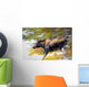 Female Moose Running Through Woods Wall Mural