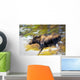 Female Moose Running Through Woods Wall Mural