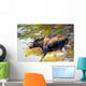 Female Moose Running Through Woods Wall Mural