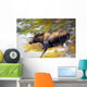 Female Moose Running Through Woods Wall Mural