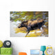 Female Moose Running Through Woods Wall Mural